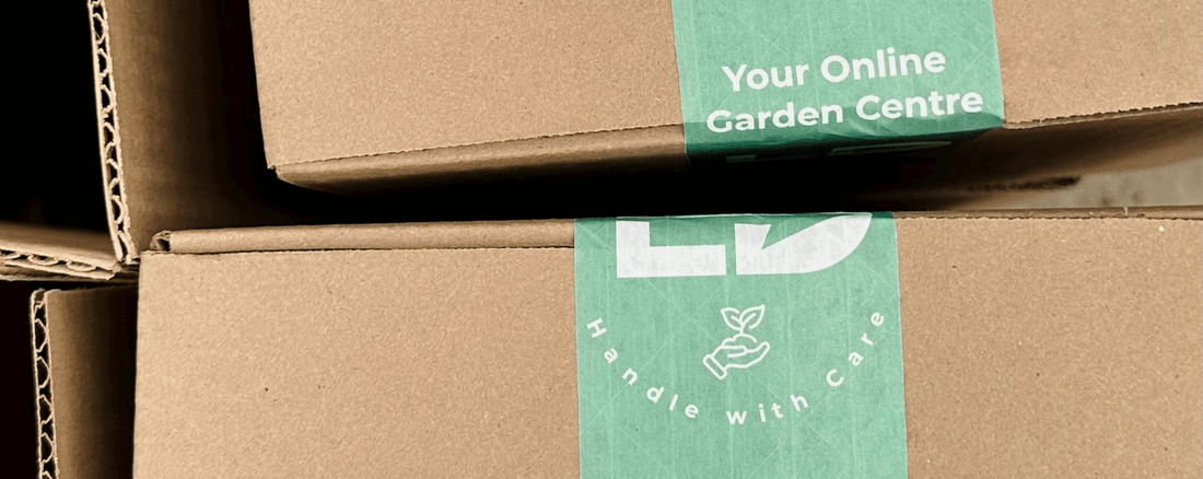How To Re-Use Our Cardboard Packaging In Your Garden - LandscapeDirect