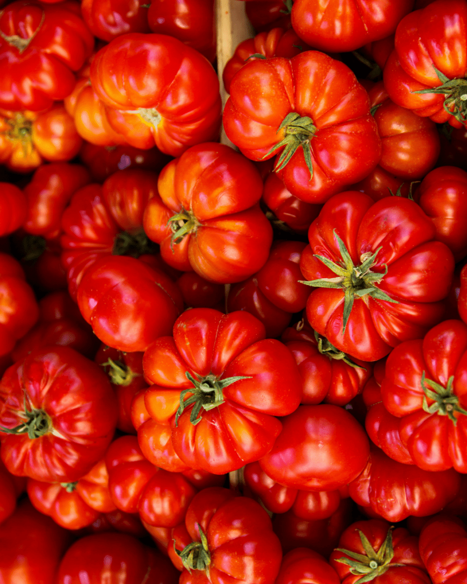 Beefsteak Tomato - LandscapeDirect