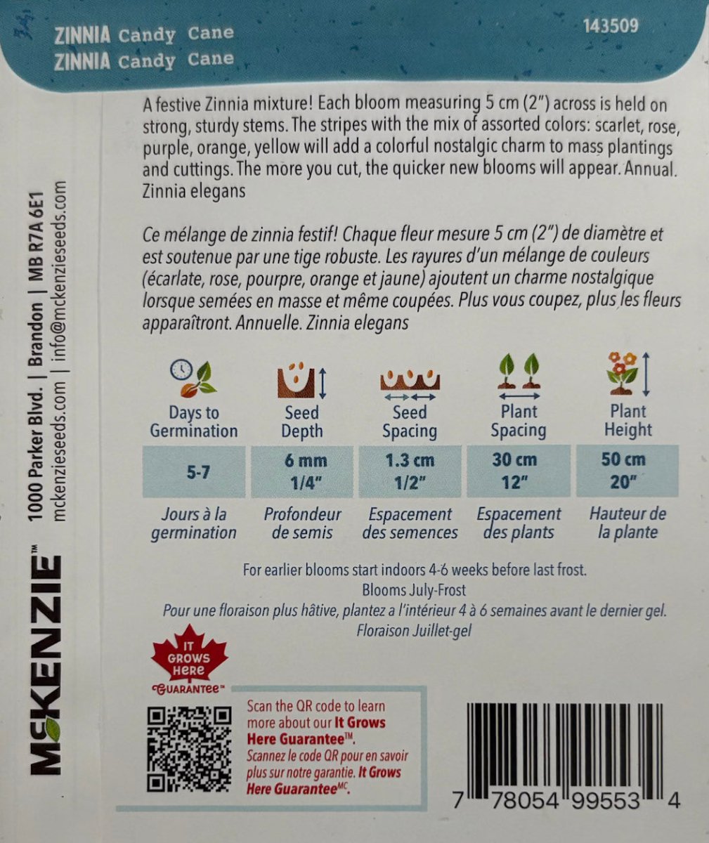 Candy Cane Zinnia - LandscapeDirect