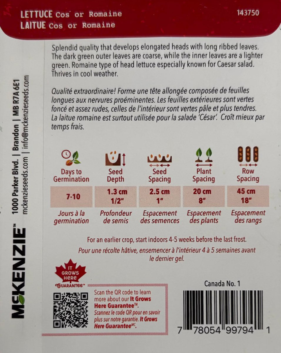 Cos or Romanian Lettuce - LandscapeDirect