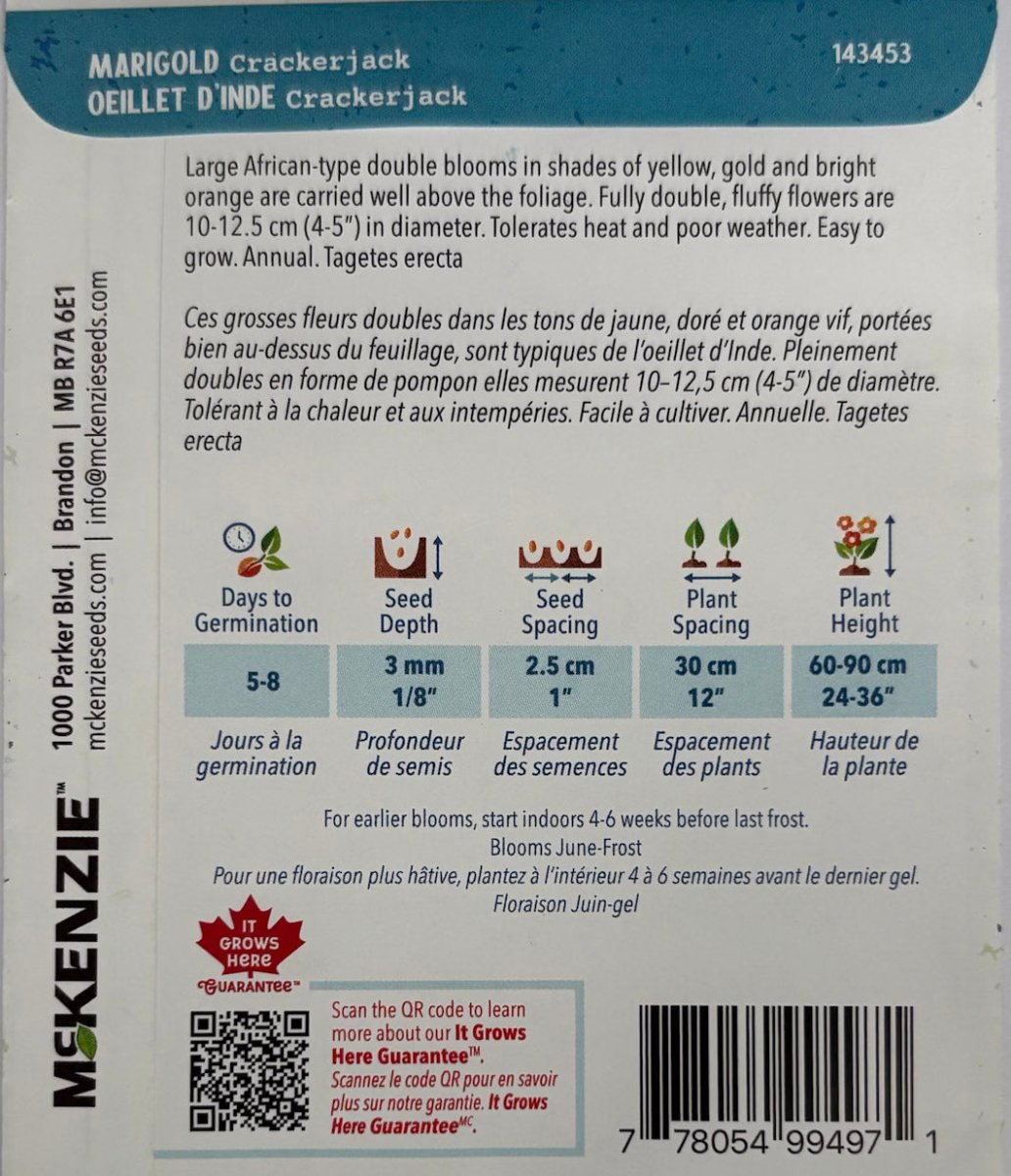 Crackerjack Marigold - LandscapeDirect