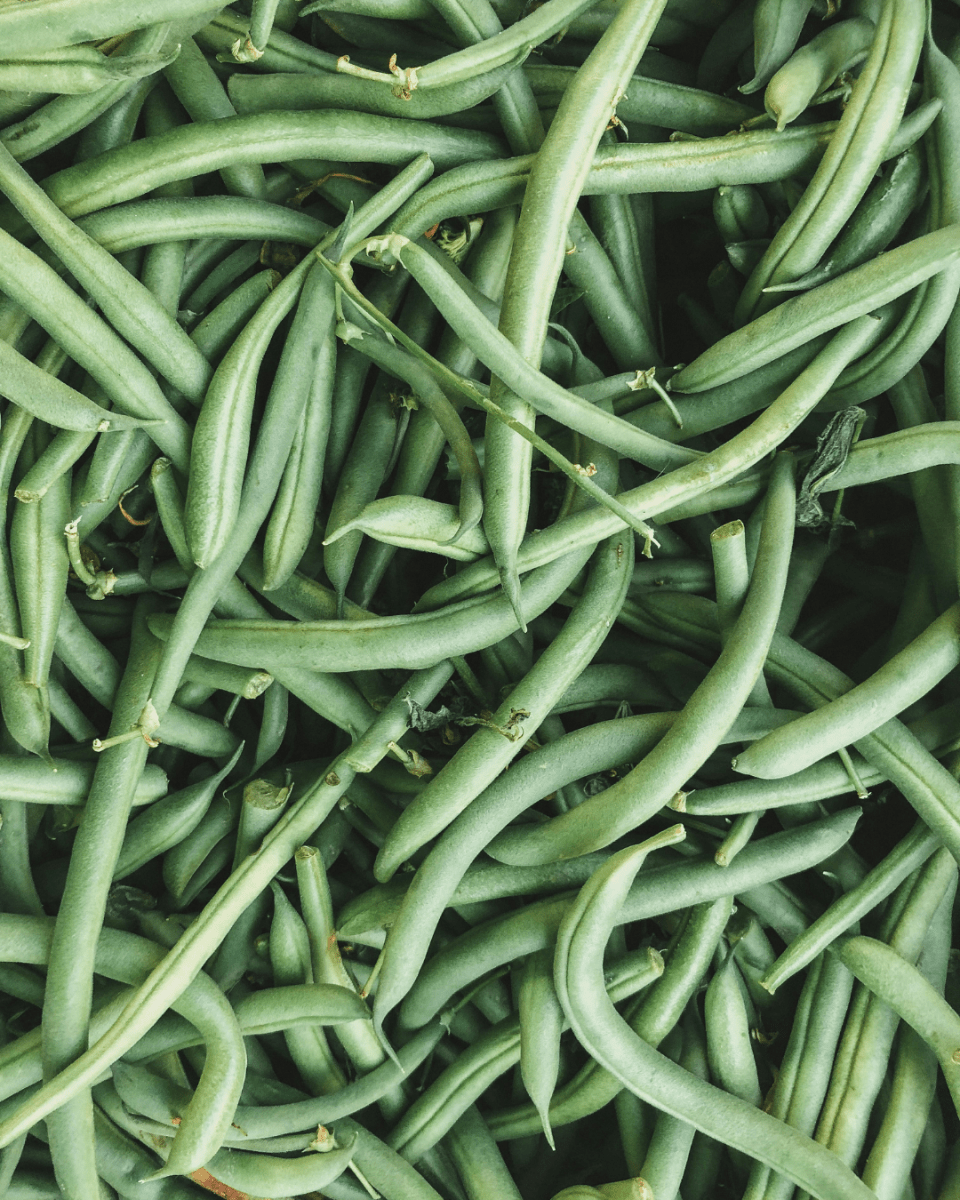 Green Bean - LandscapeDirect