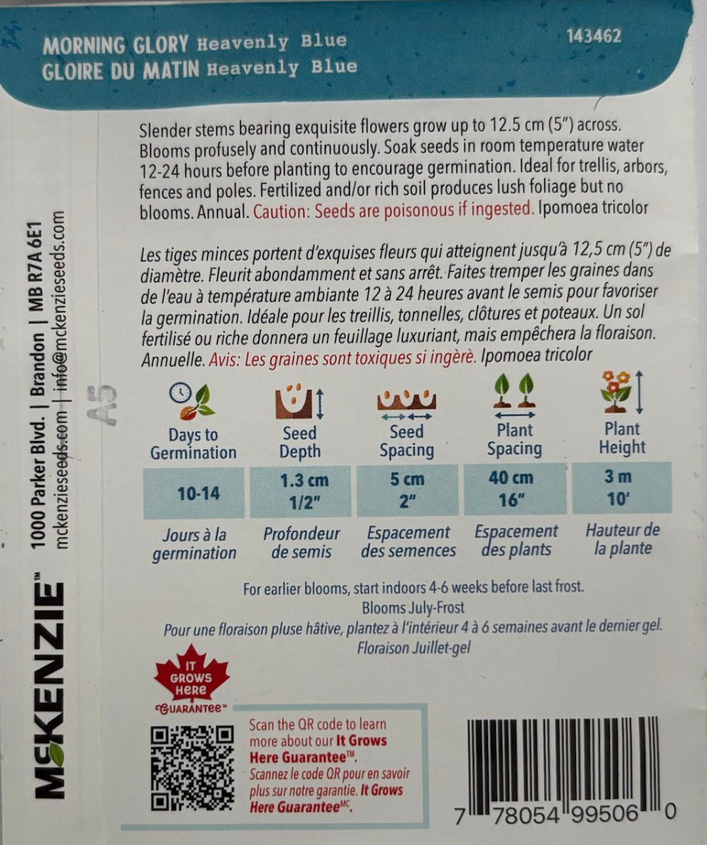 Heavenly Blue Morning Glory - LandscapeDirect