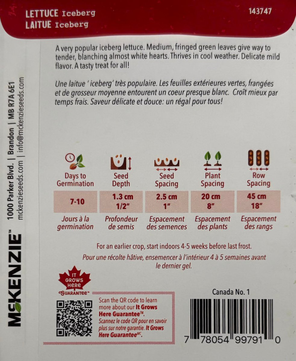 Iceberg Lettuce - LandscapeDirect