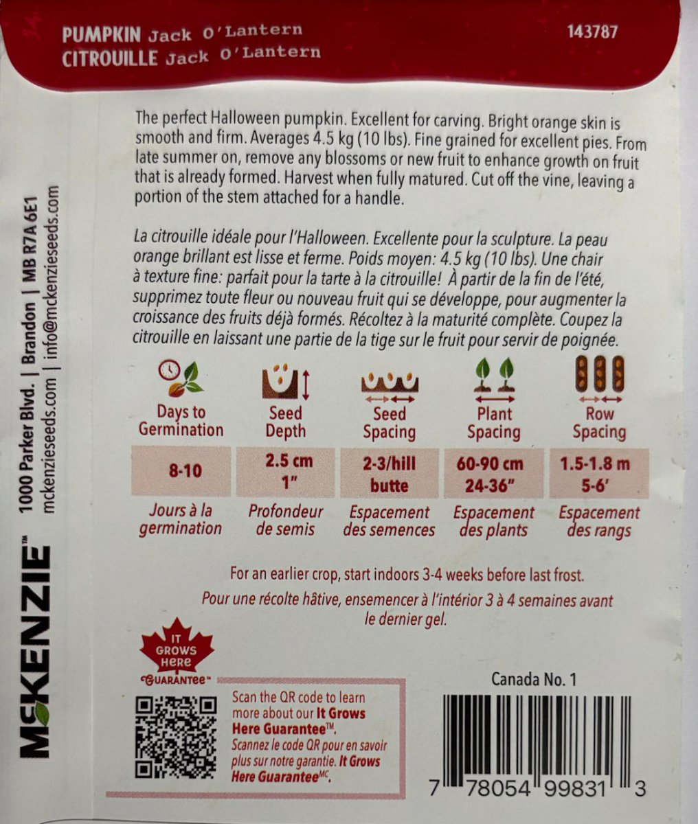 Jack O™Lantern Pumpkin - LandscapeDirect