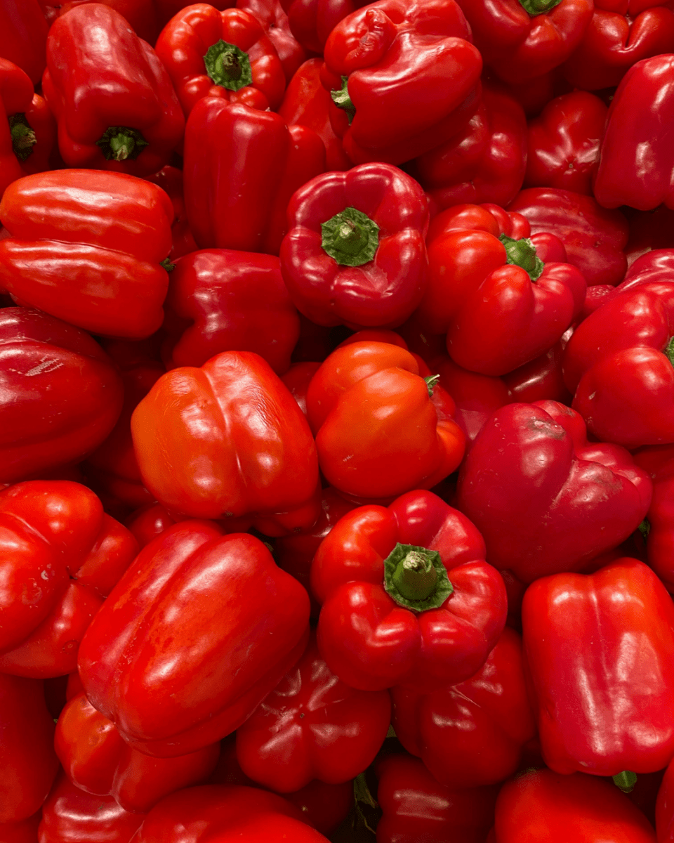 Red Bell Pepper - LandscapeDirect