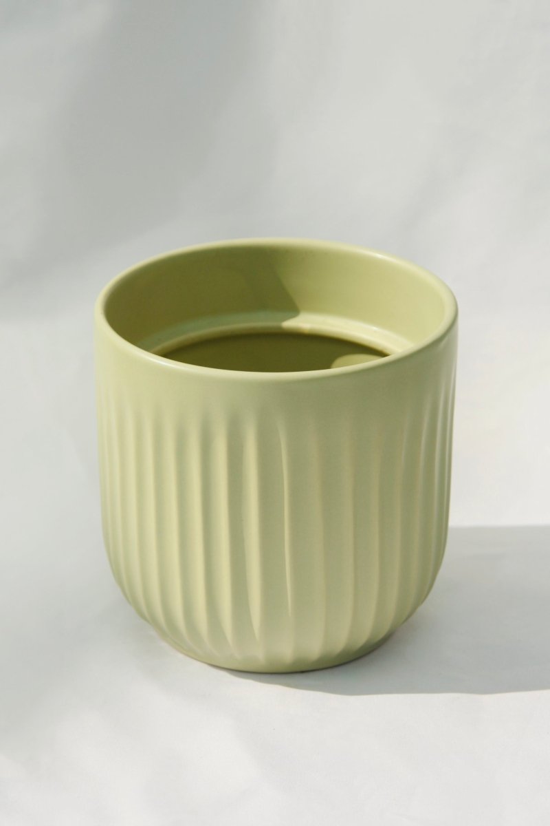 Sai 5" Sage Green Plant Pot - LandscapeDirect