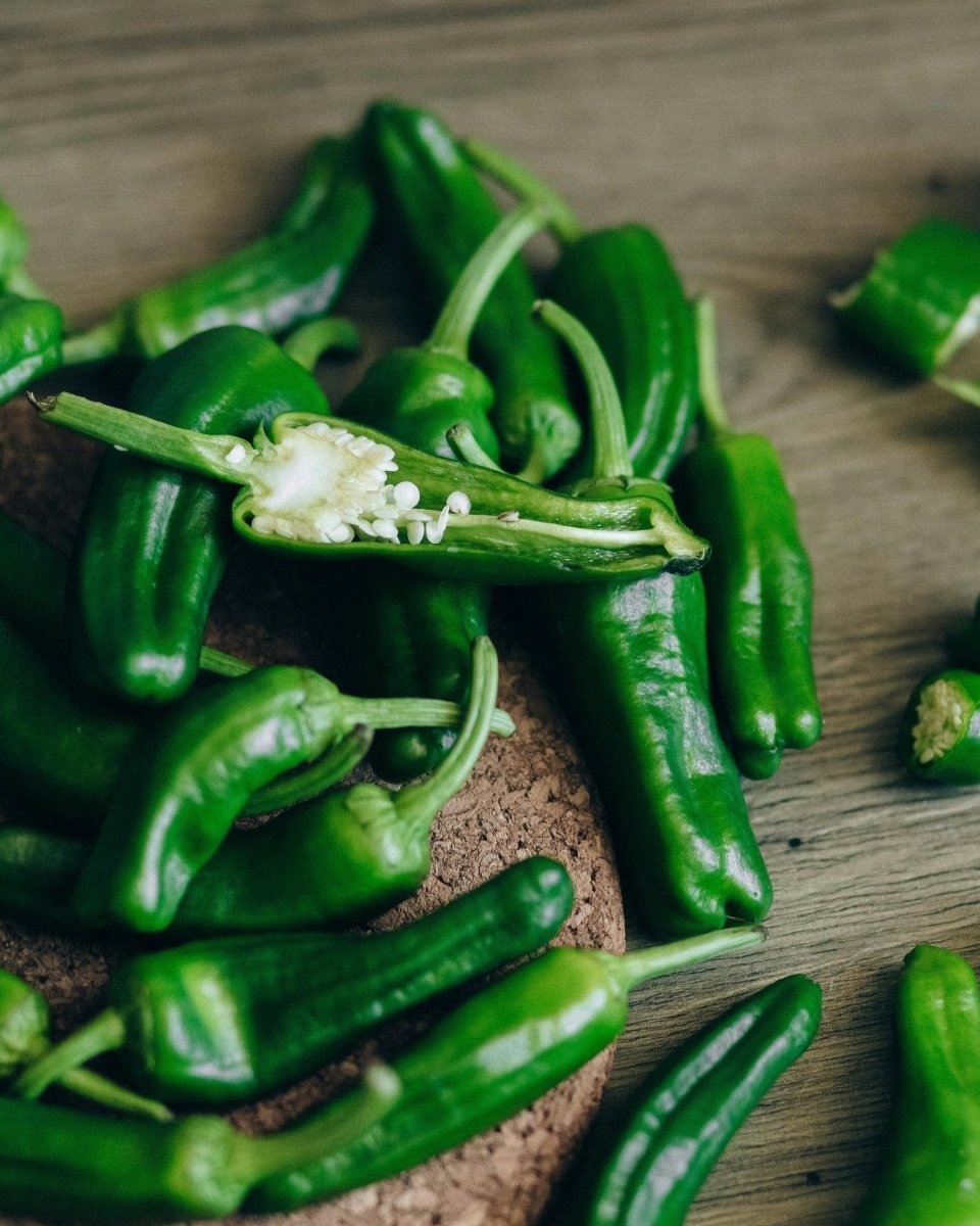 Shishito Pepper - LandscapeDirect