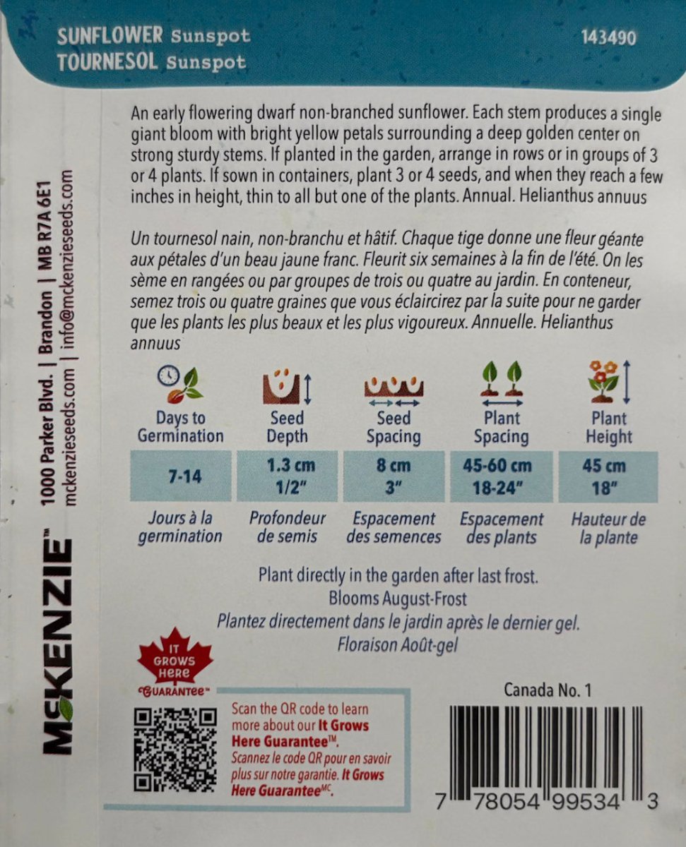 Sunspot Sunflower - LandscapeDirect