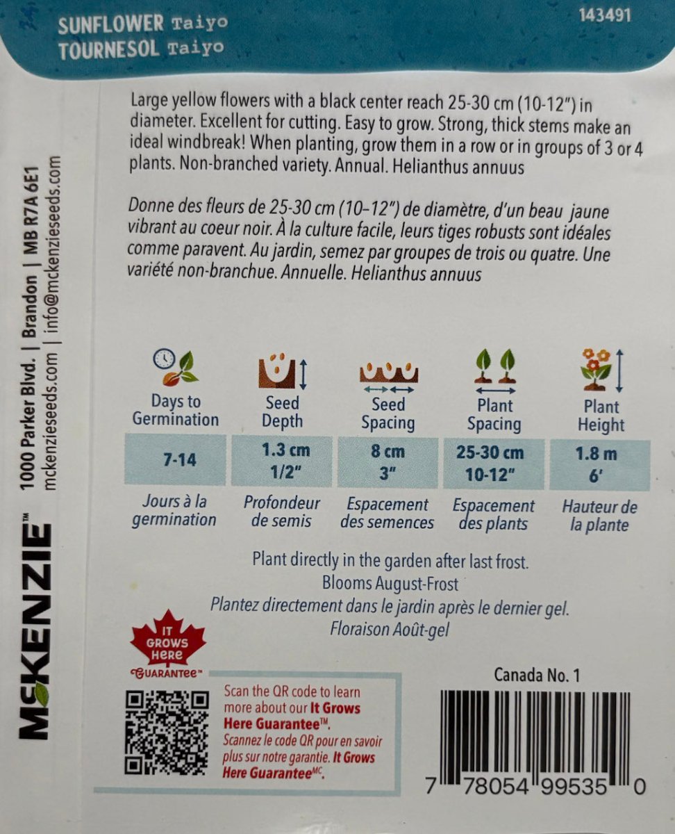 Taiyo Sunflower - LandscapeDirect