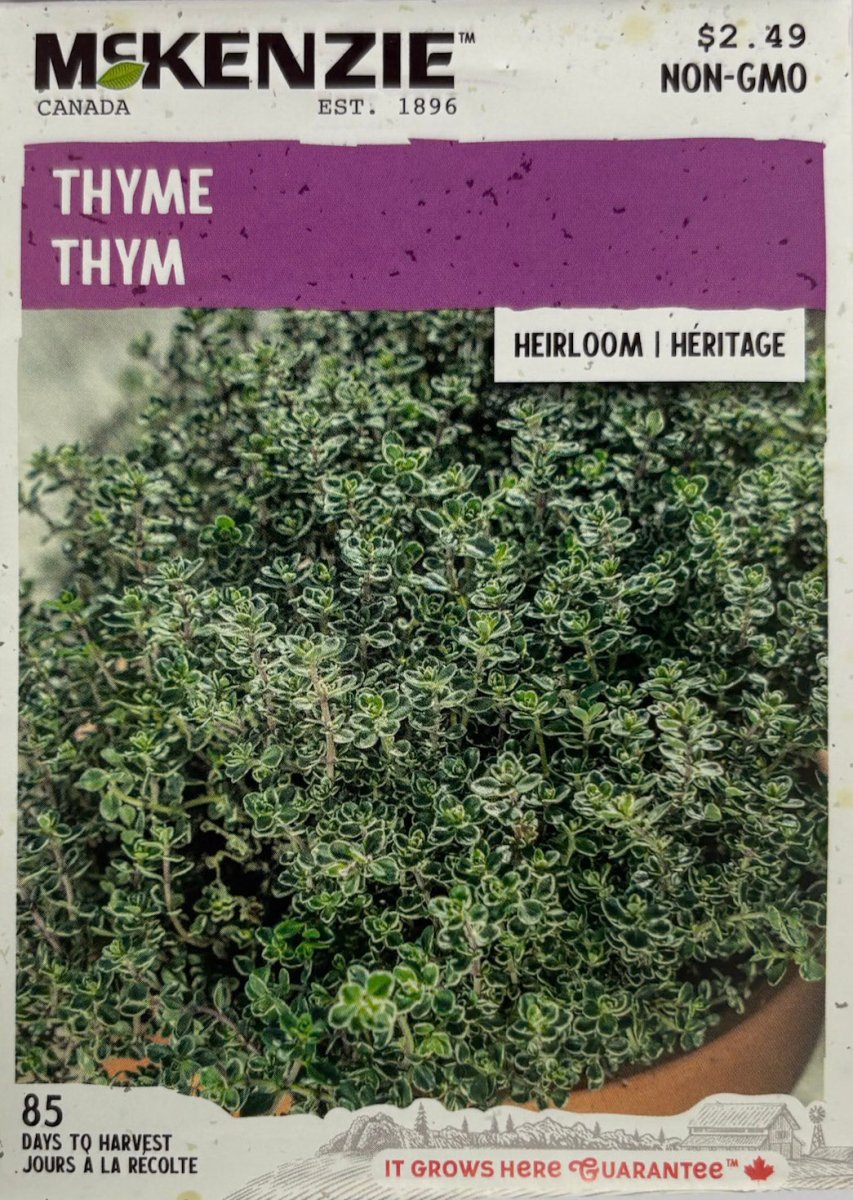 22様　nella. x Garden of eden thyme pierce Thyme – LandscapeDirect