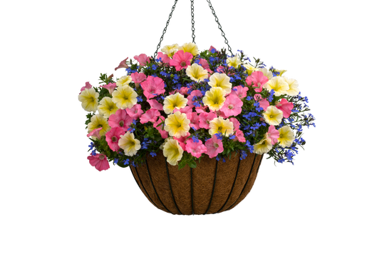 Island Luau - Hanging Basket Kit - LandscapeDirect