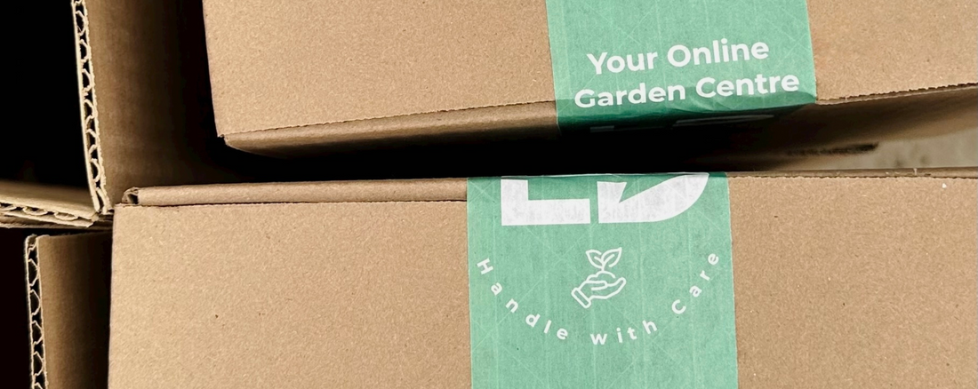 How To Re-Use Our Cardboard Packaging In Your Garden