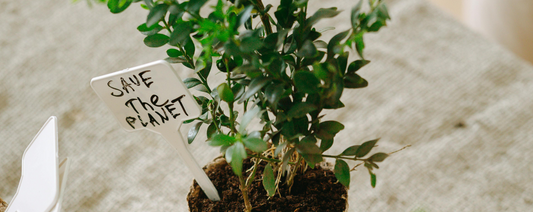 5 Sustainable Gardening Practices for Every Gardener