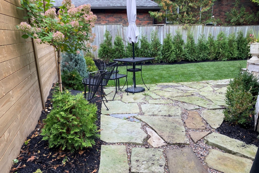 Stumps to Striking - Downtown Backyard Transformed