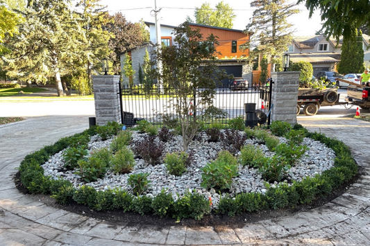 Dying to Delightful -  Driveway Garden Transformation