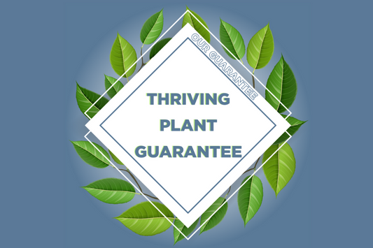 The Thriving Plant Guarantee - Our Promise To You