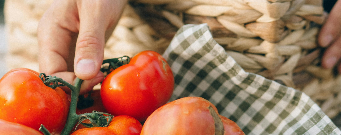 From Garden to Kitchen: How to Use Your Garden for an Organic Lifestyle