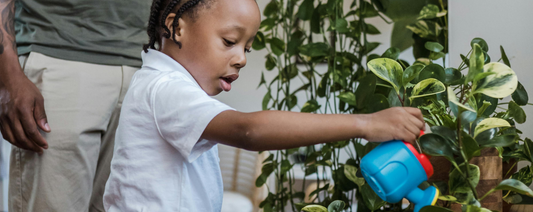 Getting Your Kids Involved In The Garden