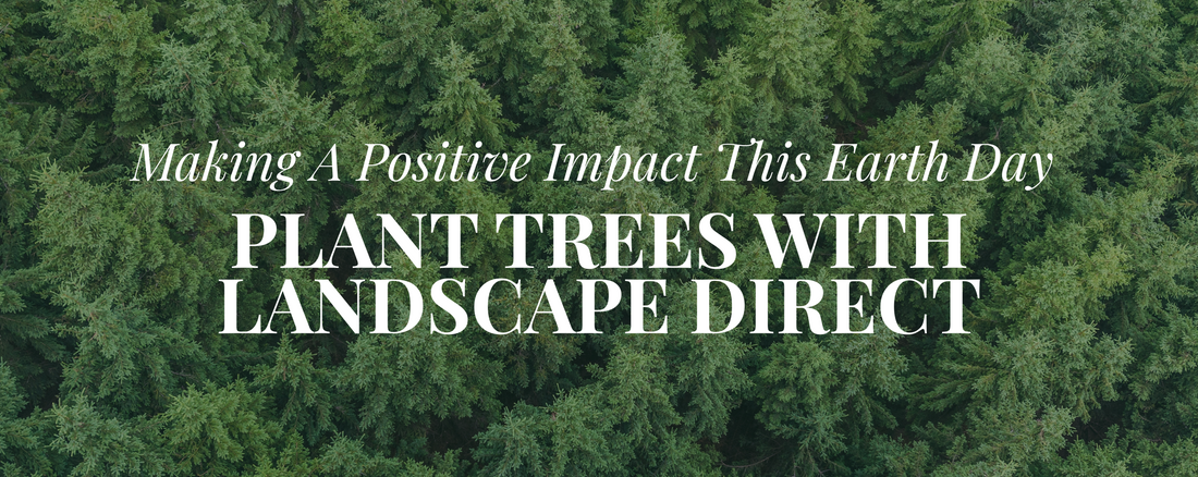 Planting Trees for Earth Day