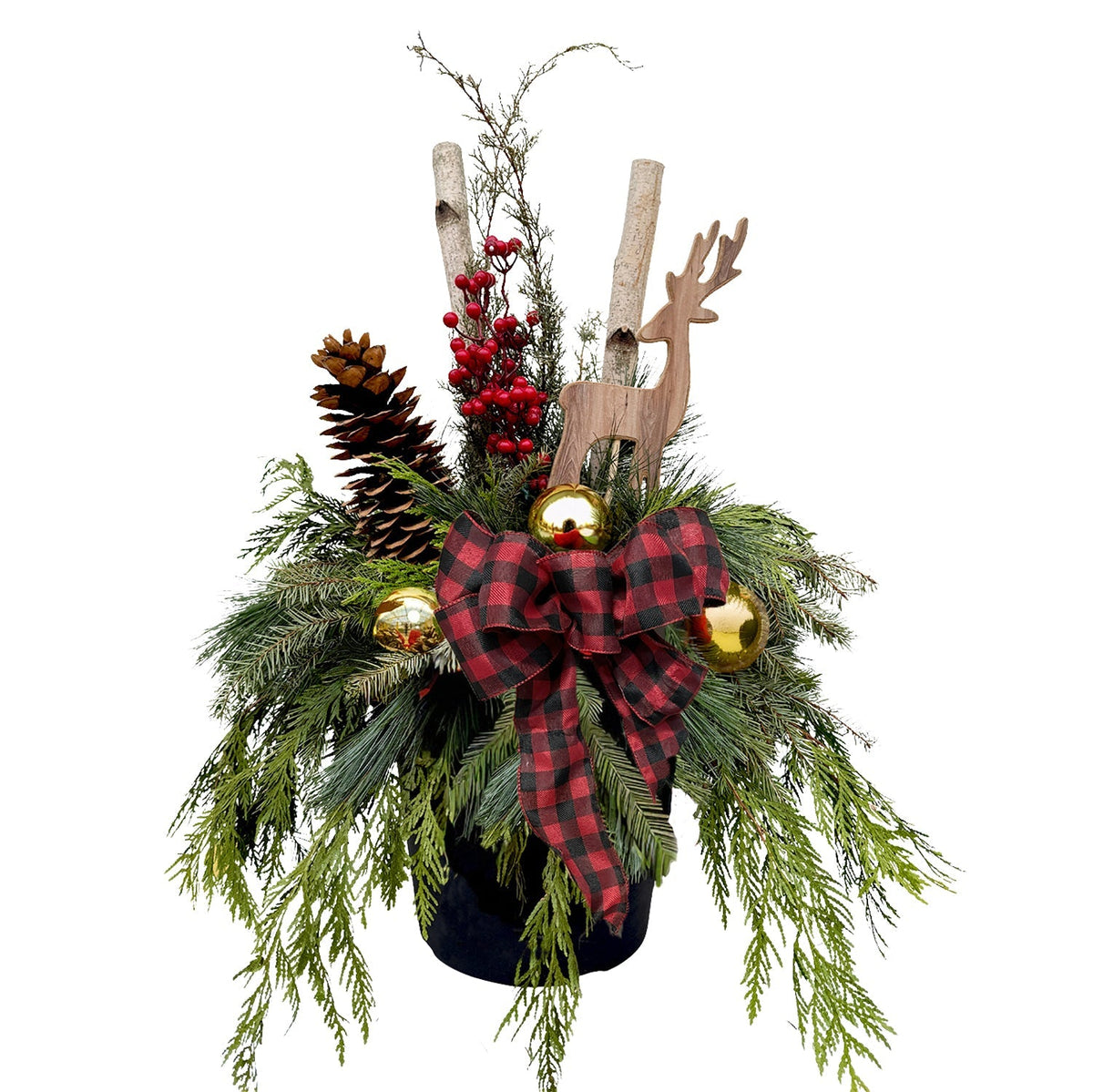 Holiday Favourites - LandscapeDirect