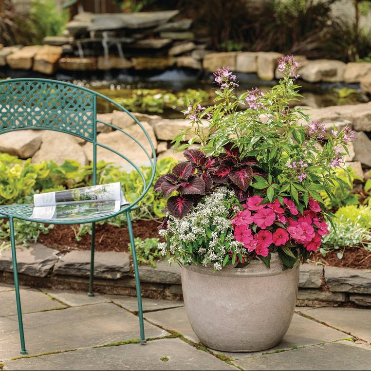 Annual Combinations - LandscapeDirect