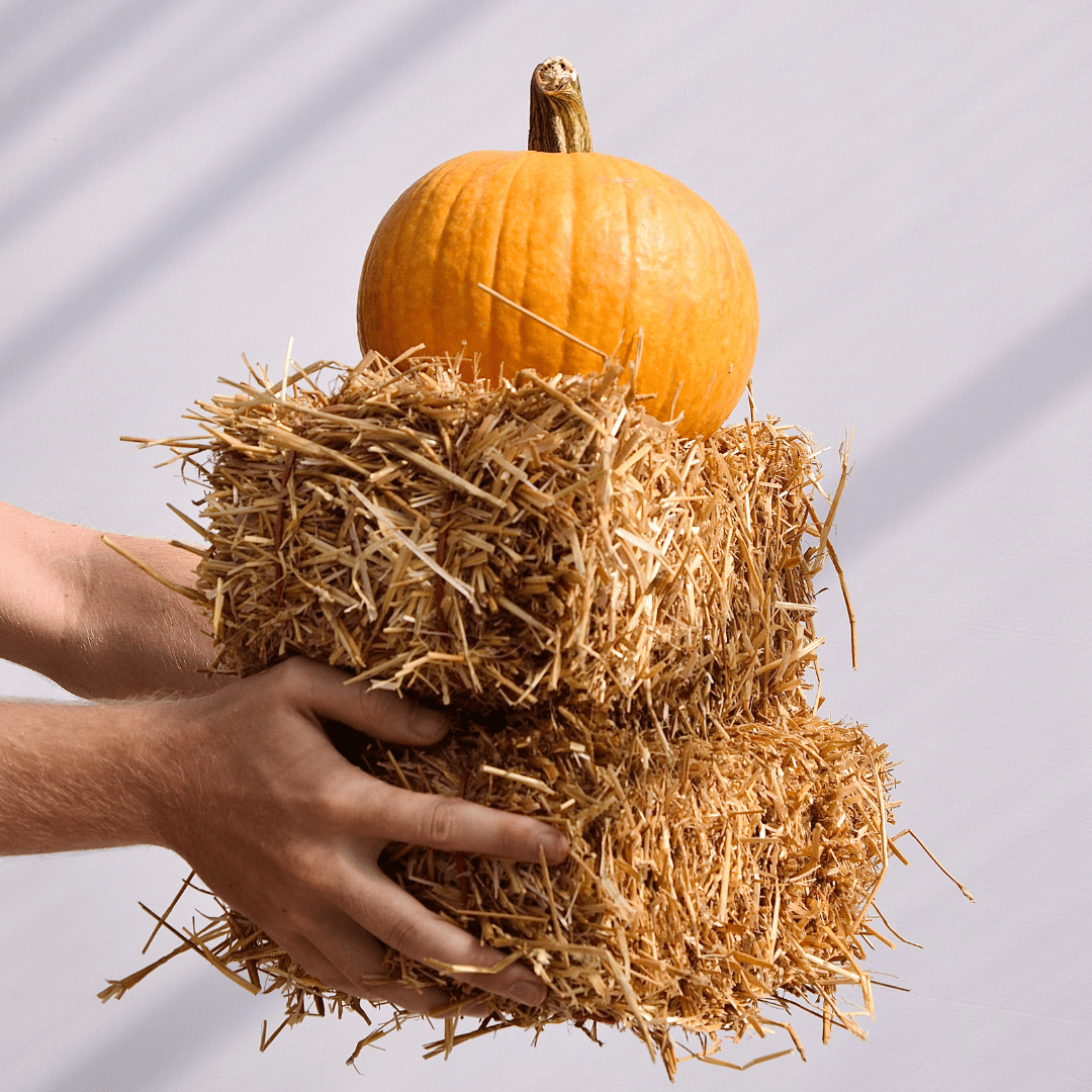 Fall Accessories - LandscapeDirect