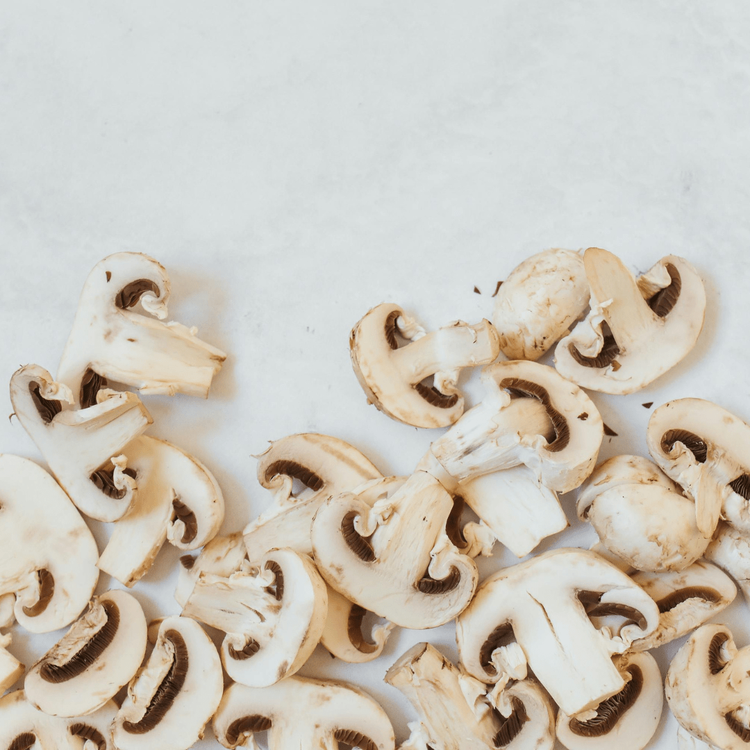 Mushroom Kit - LandscapeDirect