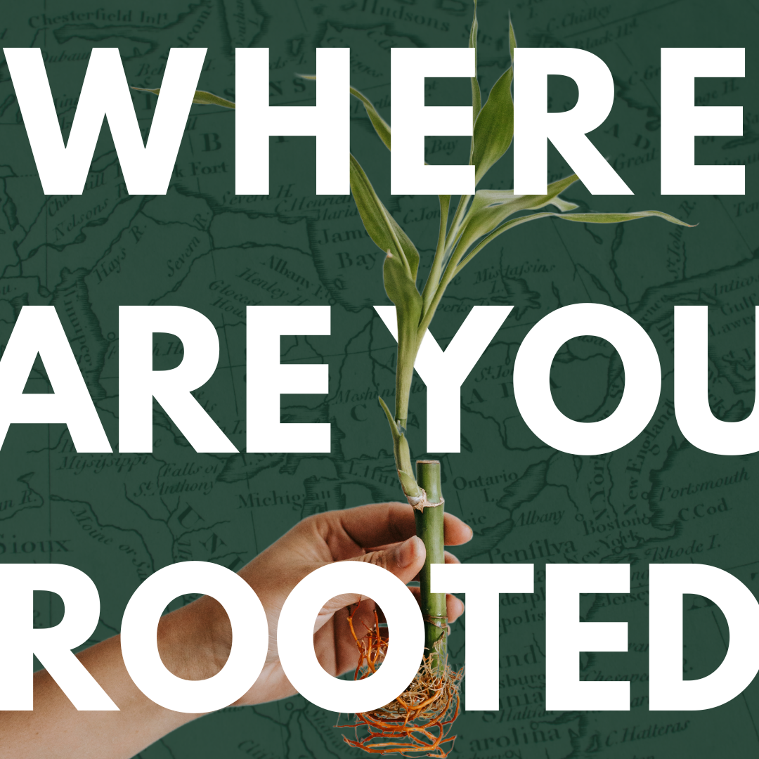 Where Are You Rooted