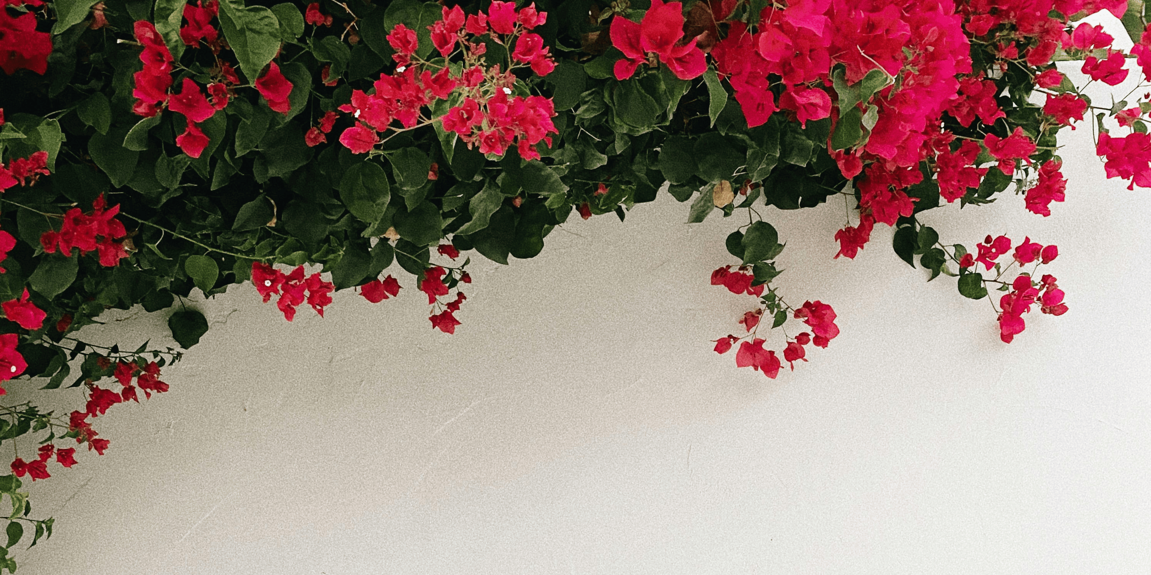 The Modern Minimalist Garden - LandscapeDirect