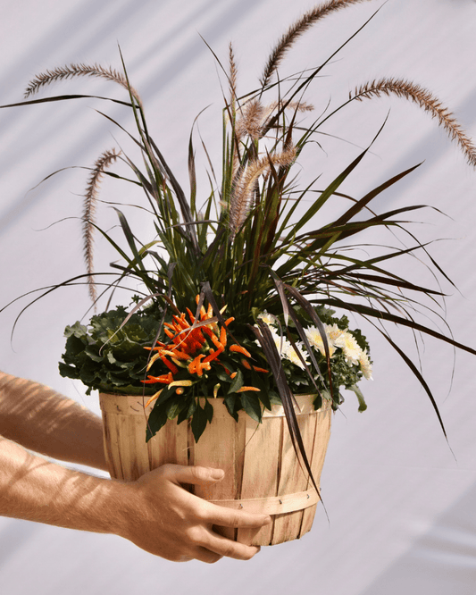 10" Fall Planter - Wood Basket - LandscapeDirect