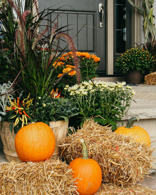 Classic Fall Porch Kit