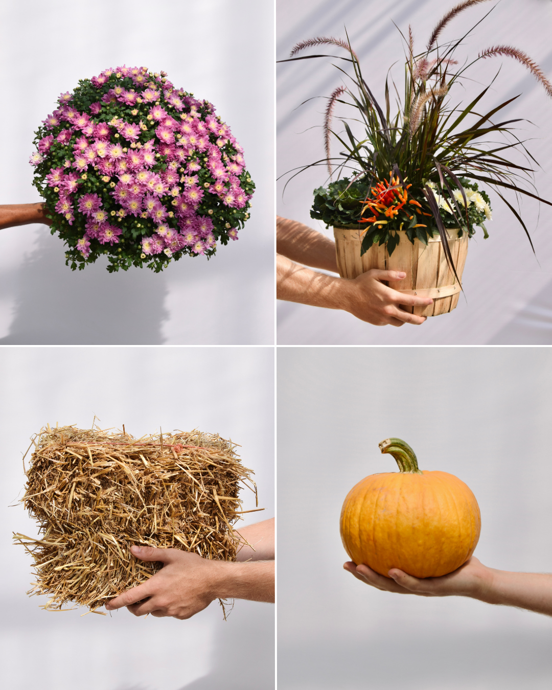 Classic Fall Porch Kit
