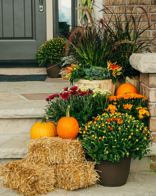 Deluxe Fall Porch Kit