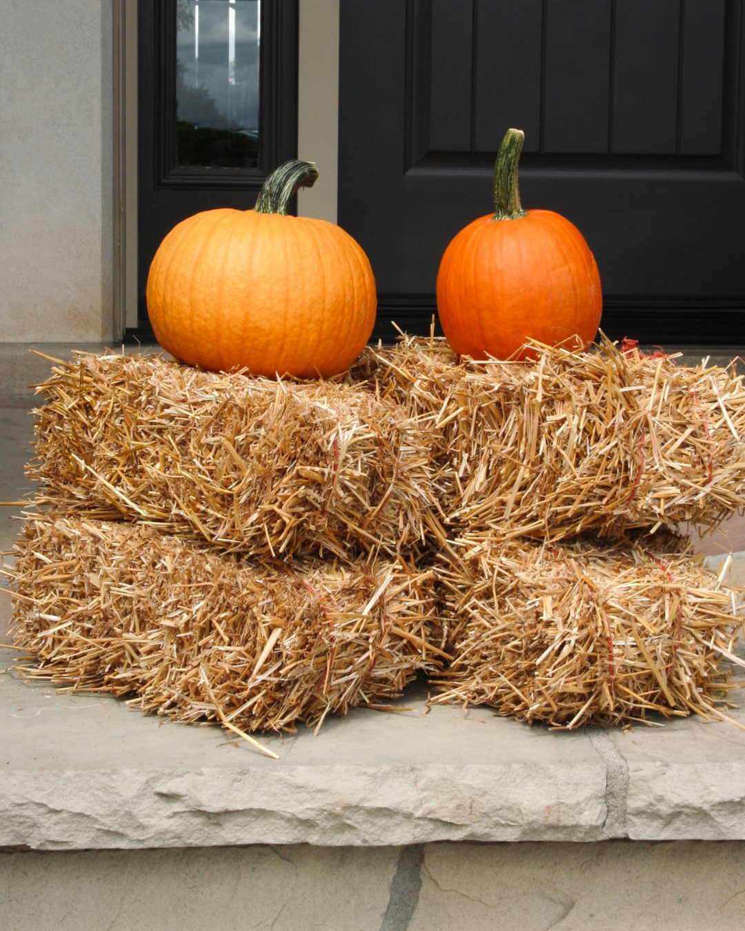 Mini Straw Bale