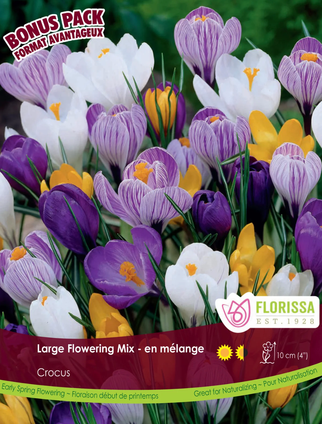 Large Flowering Crocus Mix