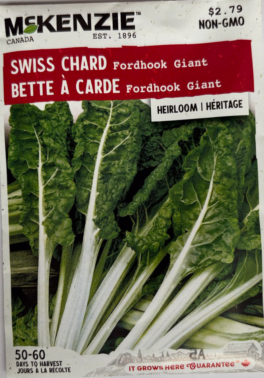 Fordhook Giant – Swiss Chard