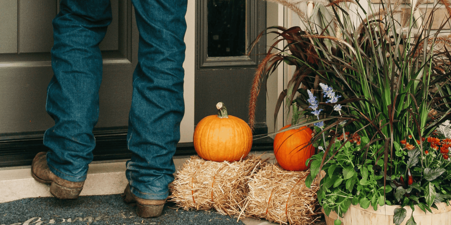 Curated For The Season
