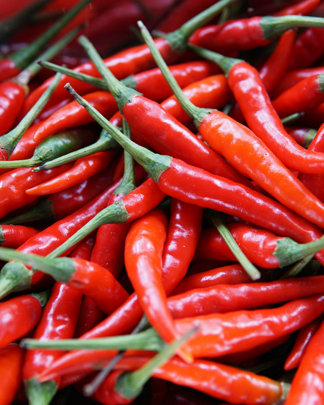 Piment de Cayenne Long Slim