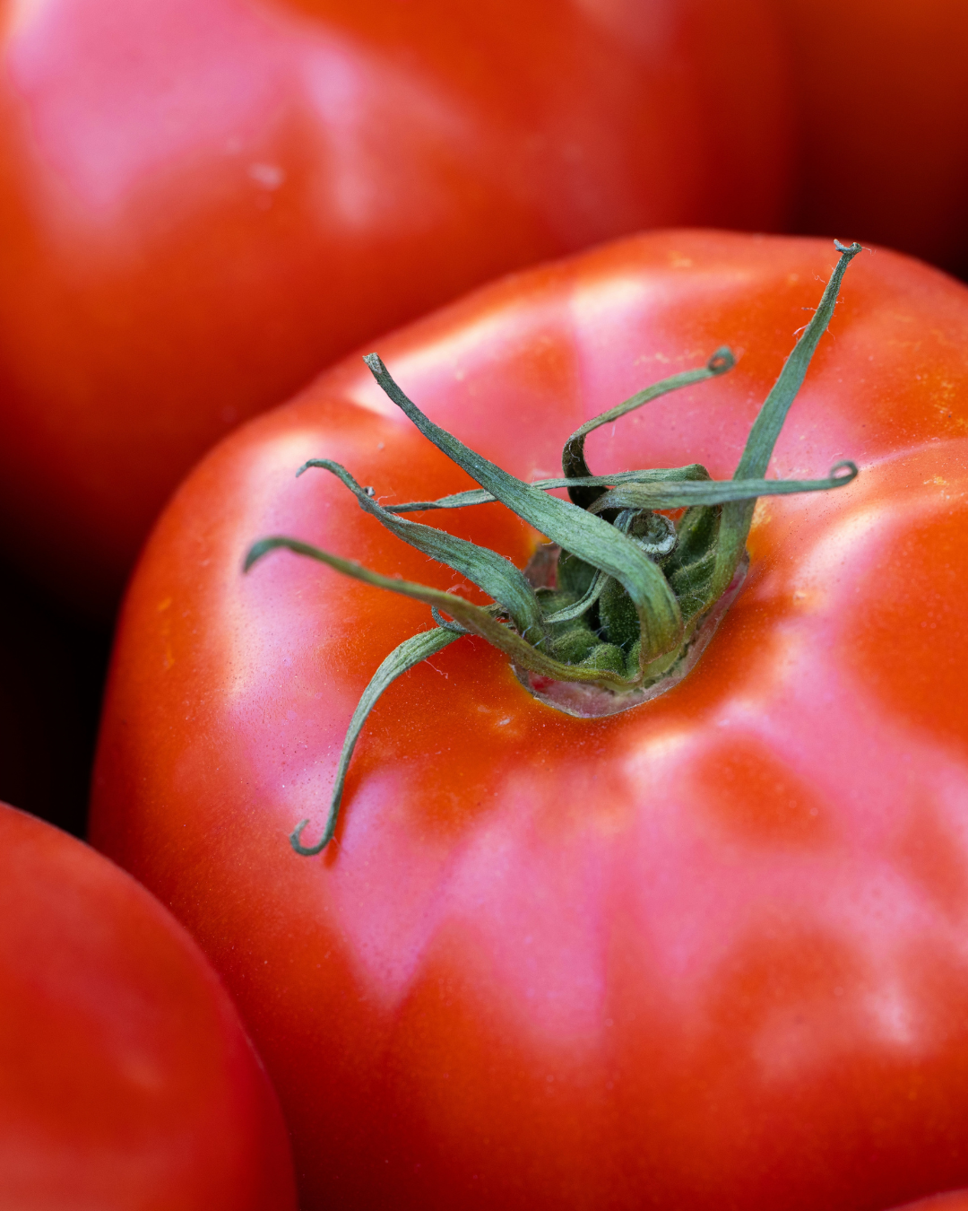 Grosse tomate au boeuf