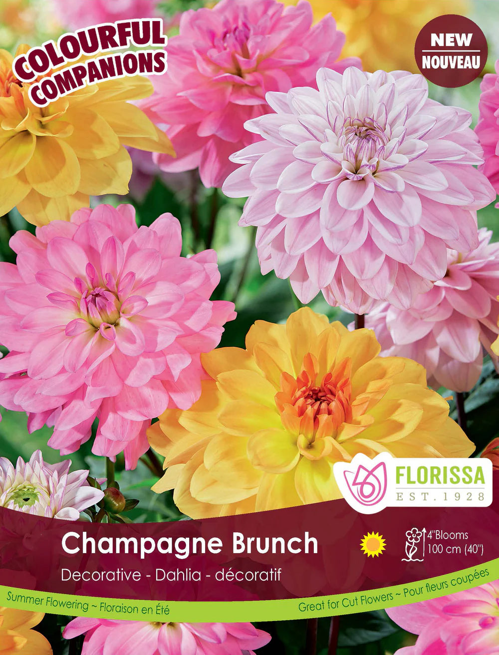 Brunch au champagne