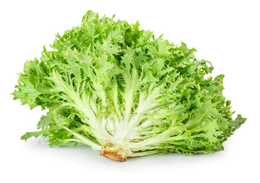 Salanova Crispy Green Lettuce