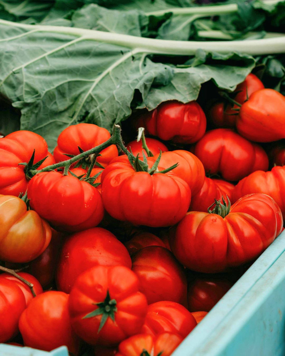 Beefsteak Tomato