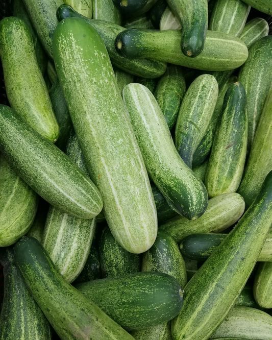 English Cucumber