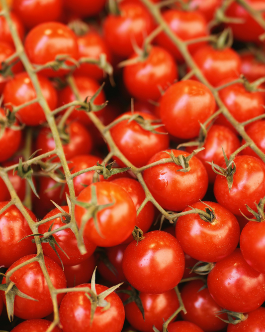 Early Girl Tomato