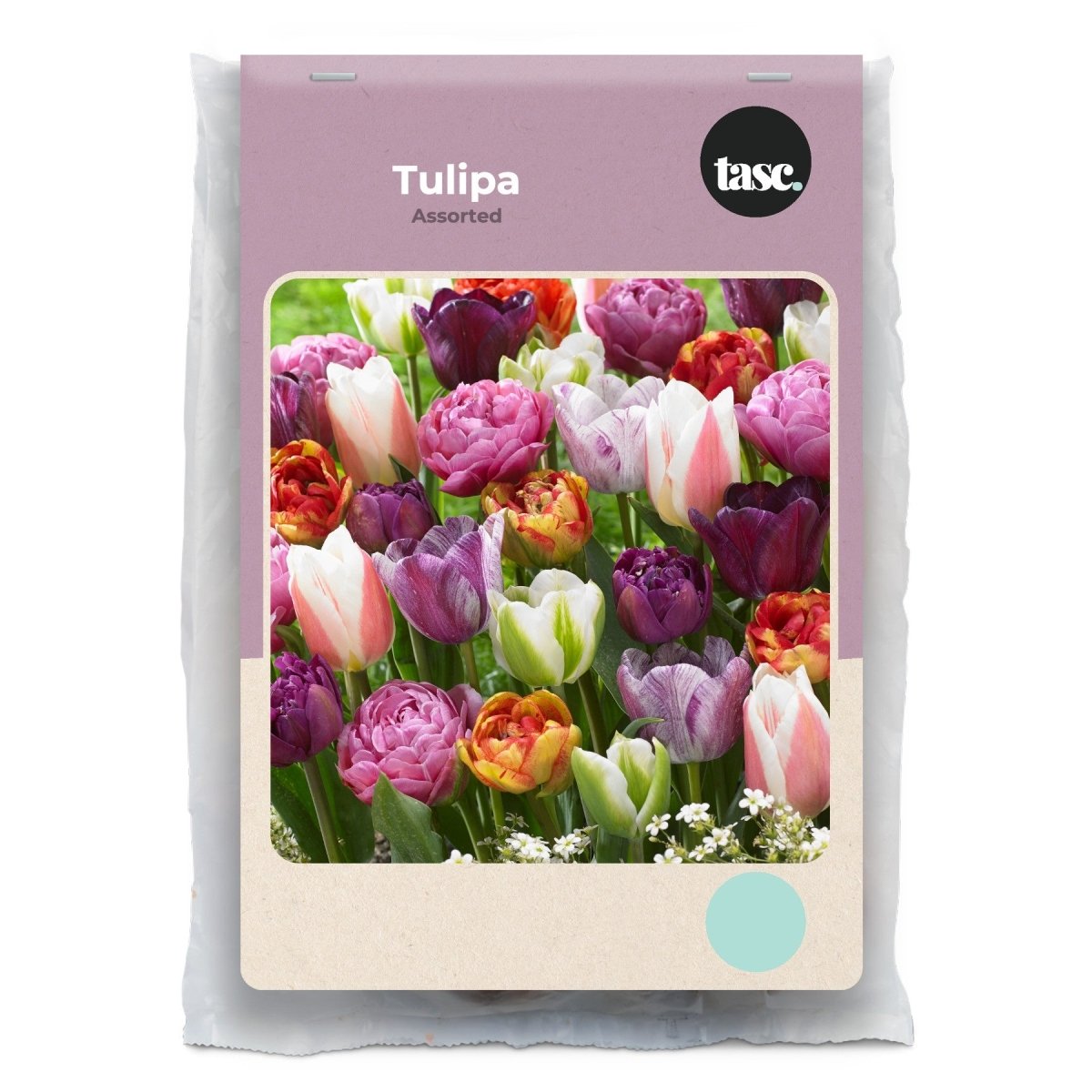 Fall Bulbs – LandscapeDirect
