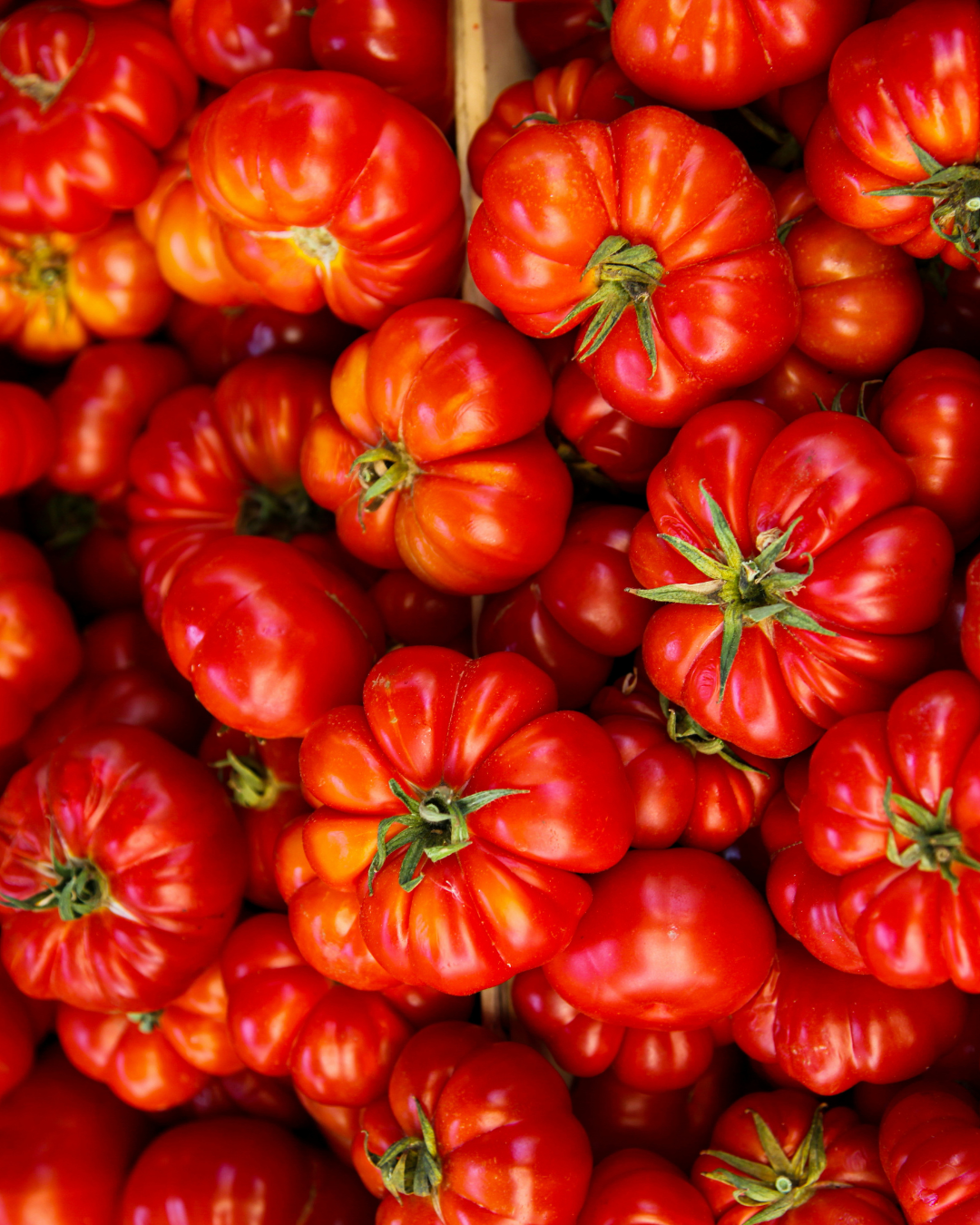 Beefsteak Tomato