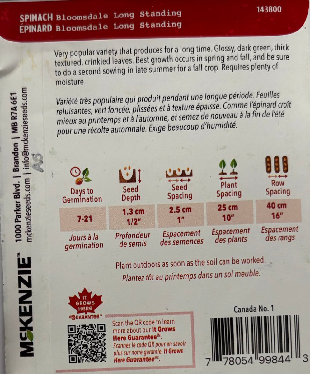 Bloomsdale Long Standing Spinach - LandscapeDirect