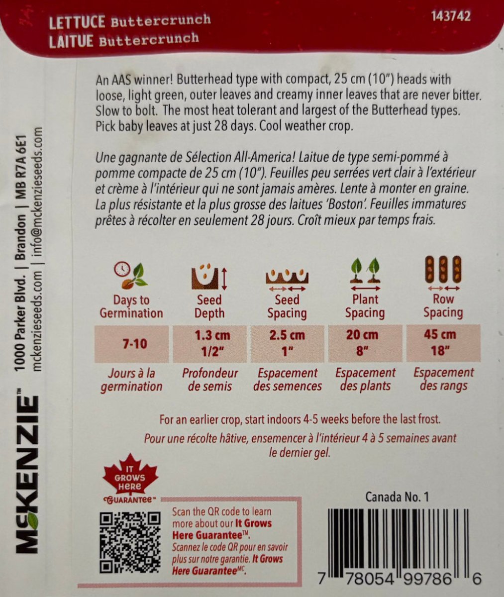 Buttercrunch Lettuce - LandscapeDirect