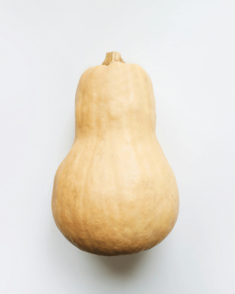 Butternut Squash - LandscapeDirect